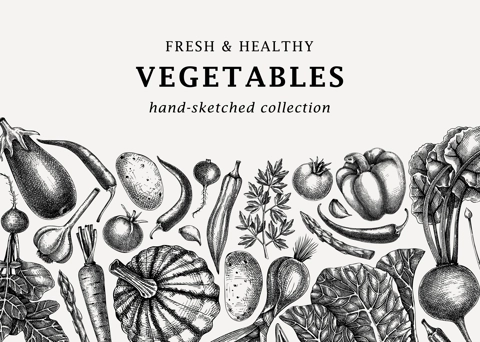 Hand-sketched vegetables design. Hand-drawn tomatoes, squashes, peppers, potatoes, asparagus and other vegetables. Healthy food banner for menu, restaurant, packaging, labels. Botanical illustration 